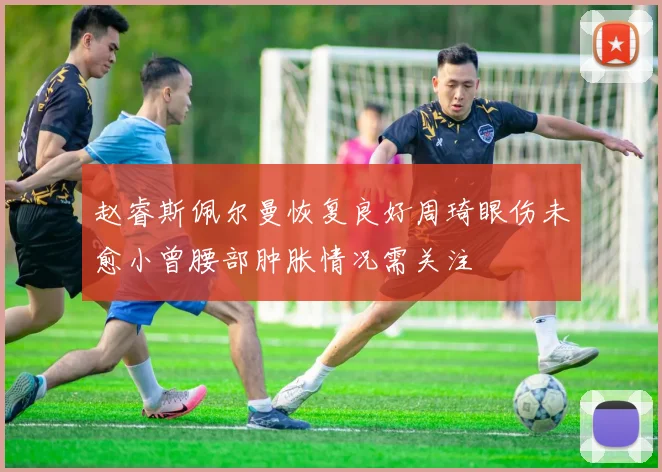 赵睿斯佩尔曼恢复良好周琦眼伤未愈小曾腰部肿胀情况需关注