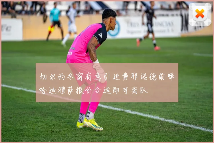 切尔西冬窗有意引进费耶诺德前锋哈迪穆萨报价合适即可离队