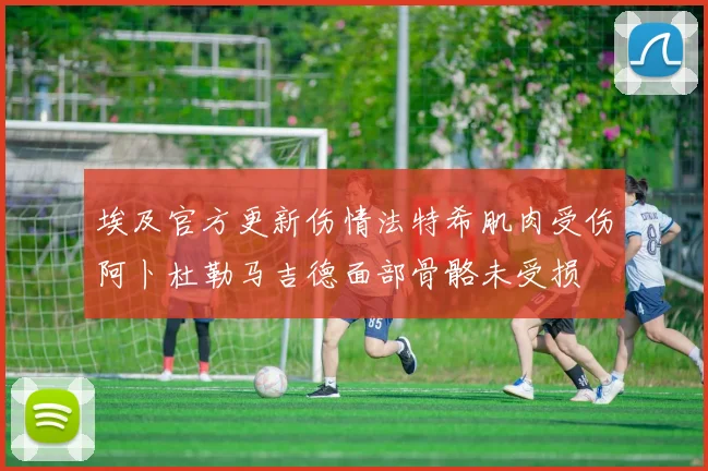 埃及官方更新伤情法特希肌肉受伤阿卜杜勒马吉德面部骨骼未受损