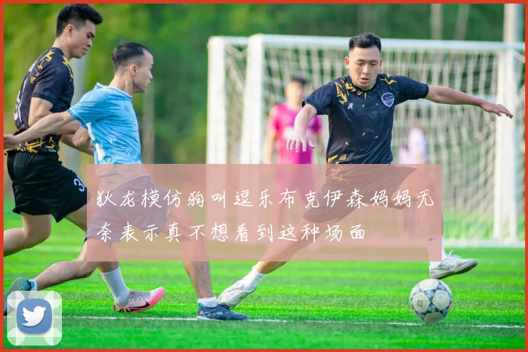 狄龙模仿狗叫逗乐布克伊森妈妈无奈表示真不想看到这种场面